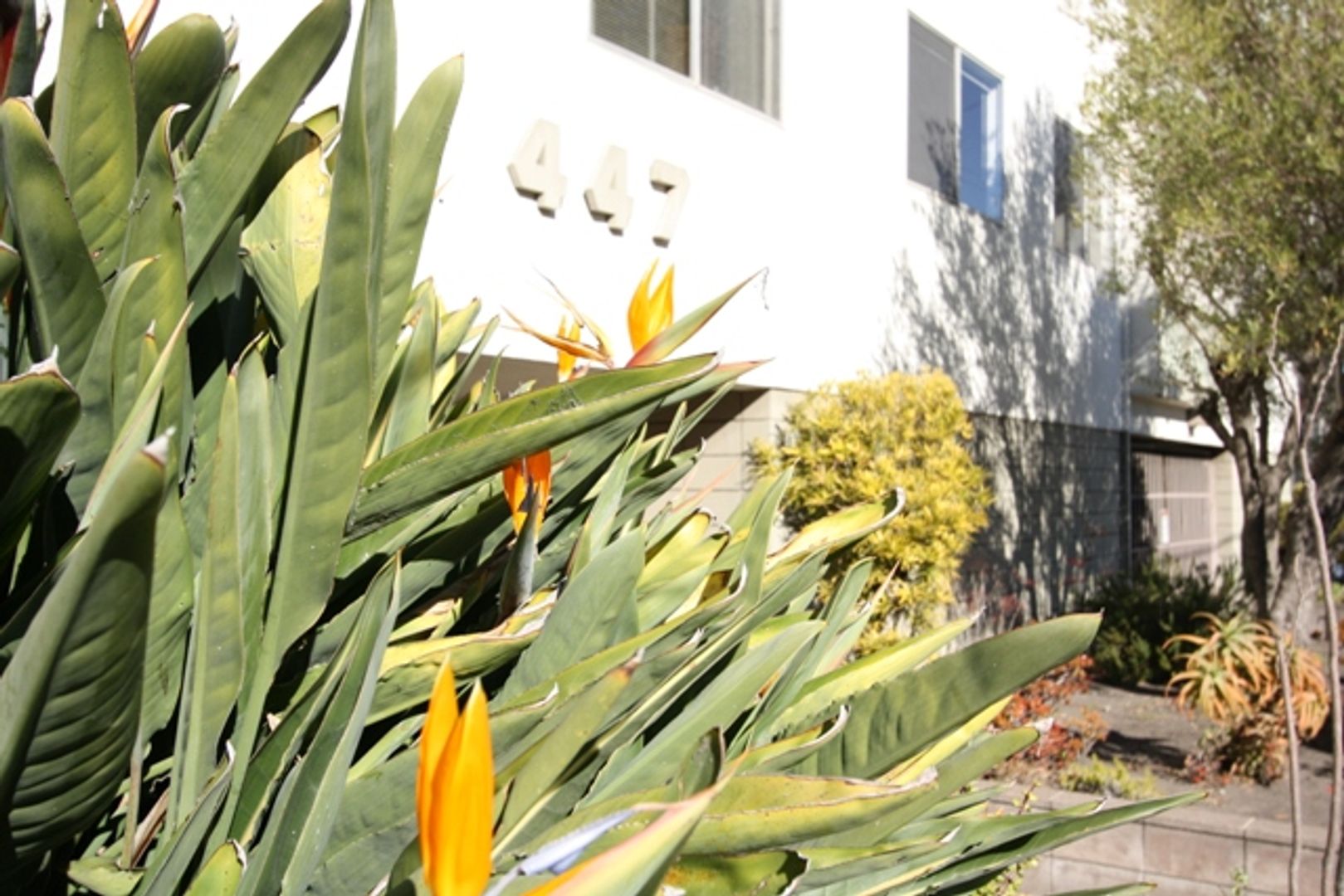 Oakland Apartment: 447 Orange Street