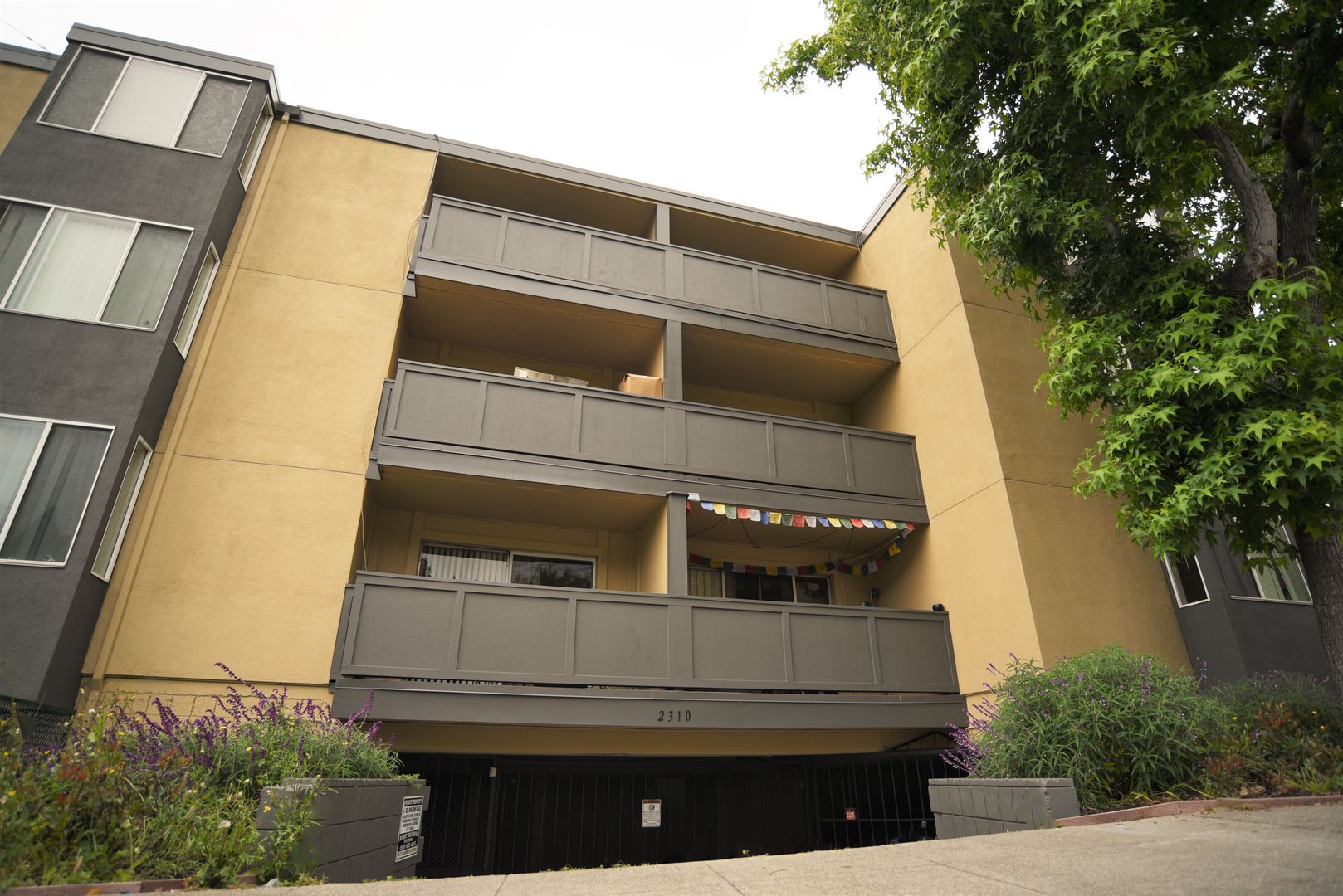 Berkeley Apartment: 2310 Piedmont Avenue