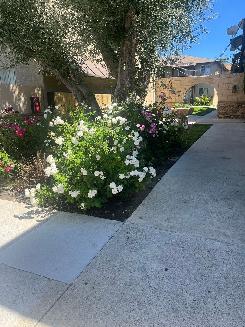 Santa Clarita Apartment: 24838 Newhall Avenue