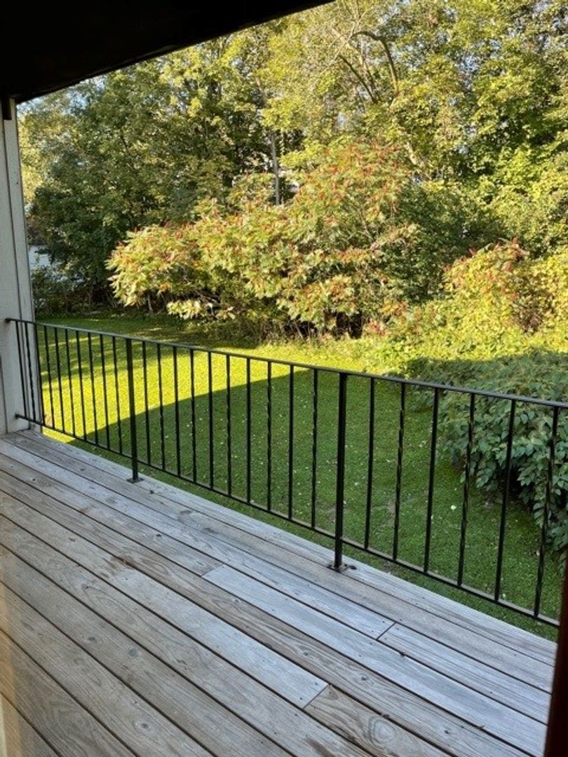 Norwich Apartment: 54 Borden Ave.