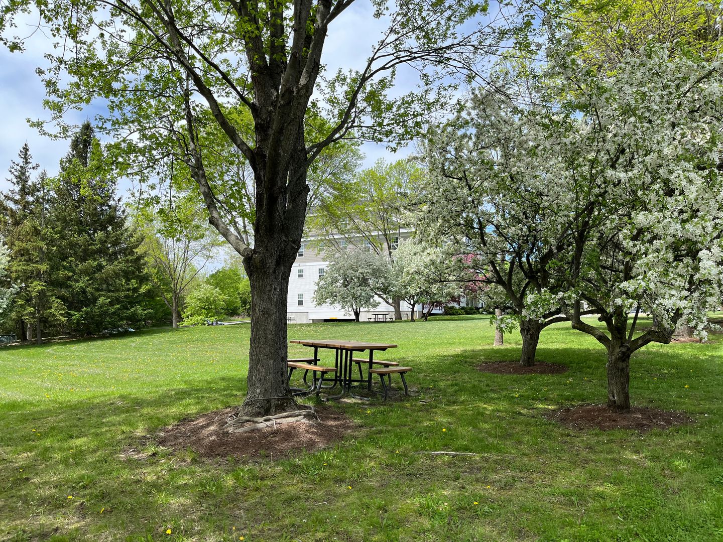 South Burlington Apartment: Olde Orchard Park