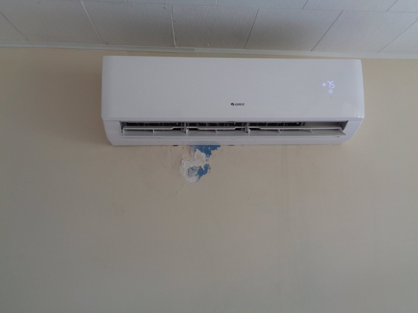 Fernandina Beach House: 1133 N. Fletcher Ave - 1133 N. Fletcher Ave