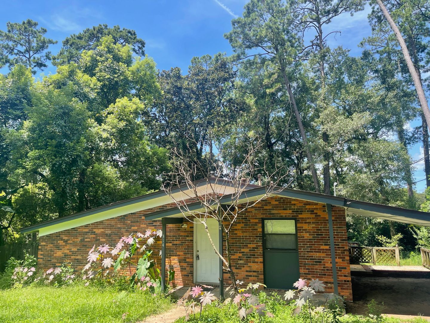Tallahassee House: 314 Cardinal Court