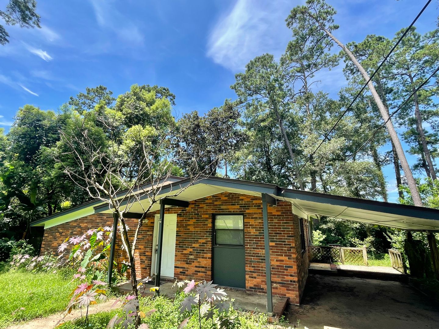 Tallahassee House: 314 Cardinal Court