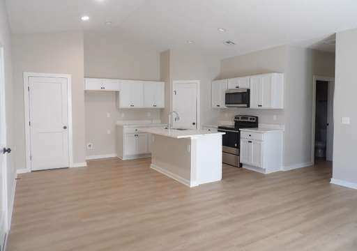 Brand-New 3 Bedroom Home with Vaulted Ceilings & Fireplace