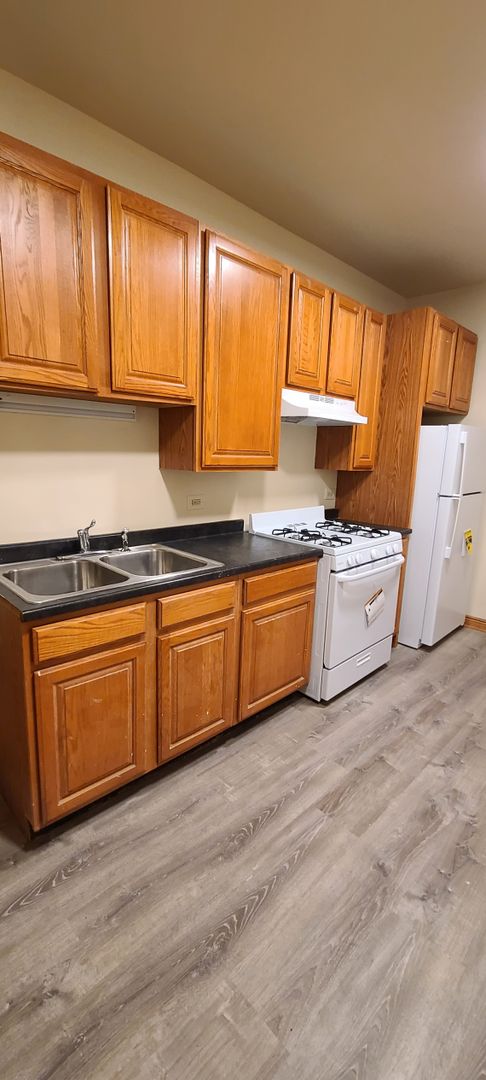 Chicago Apartment: 1217-1225 S. Independence Blvd.