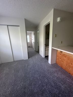 1 bedroom 1 bath apartment walking to MSU – photo 1