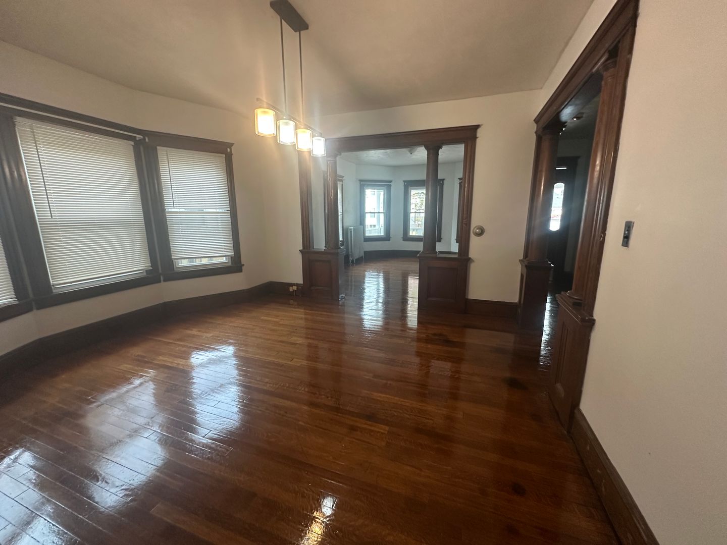 springfield House: 48 Eleanor Road