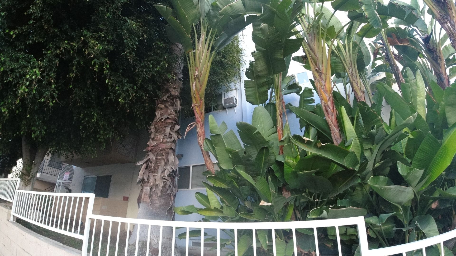 WEST HOLLYWOOD Apartment: 1114 N CLARK STREET