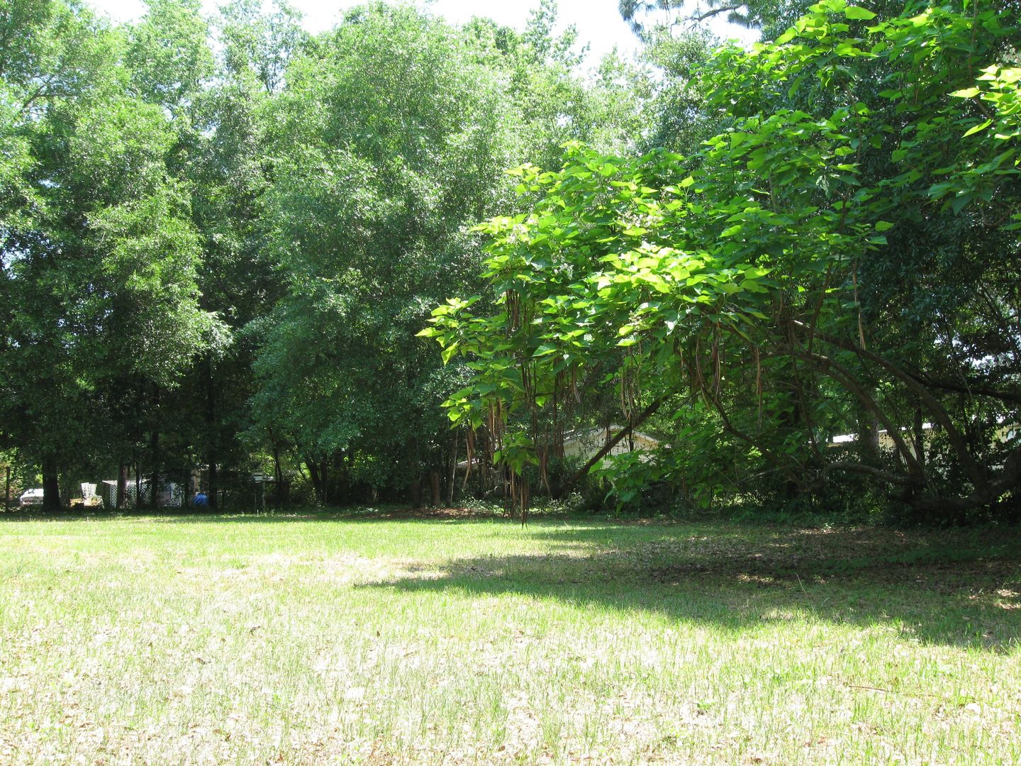 Tallahassee House: 823 Greenleaf Drive