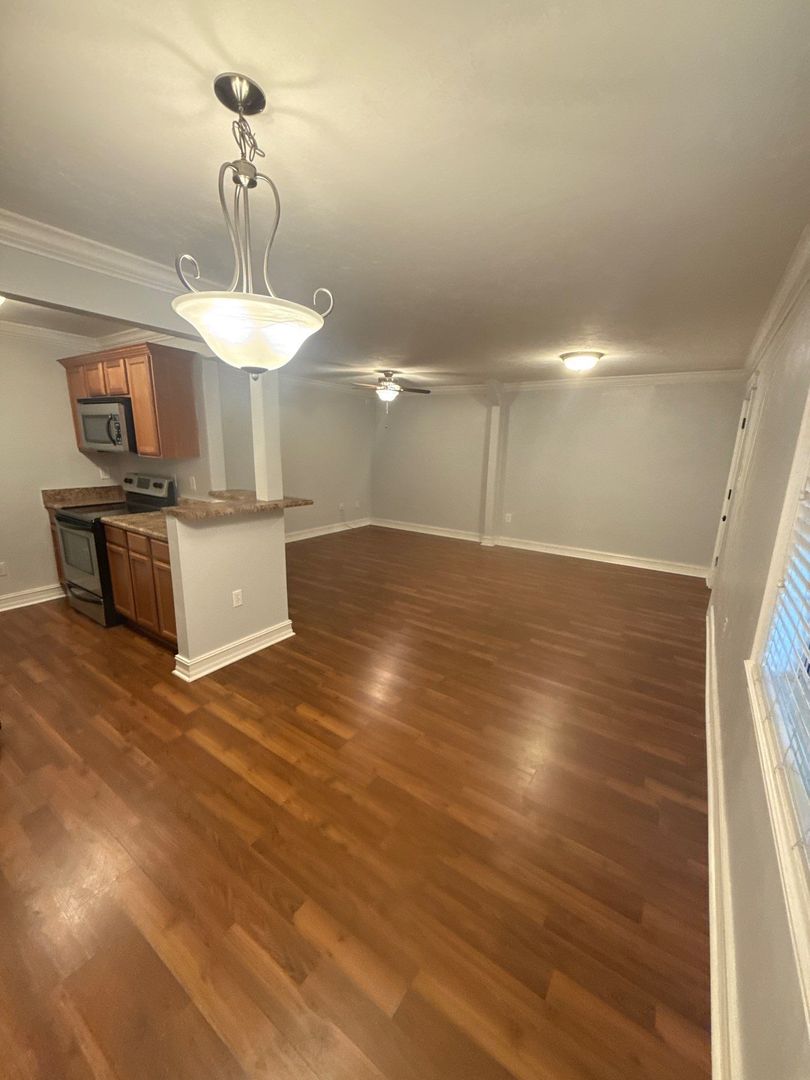 Tallahassee Apartment: 119 Cadiz Street