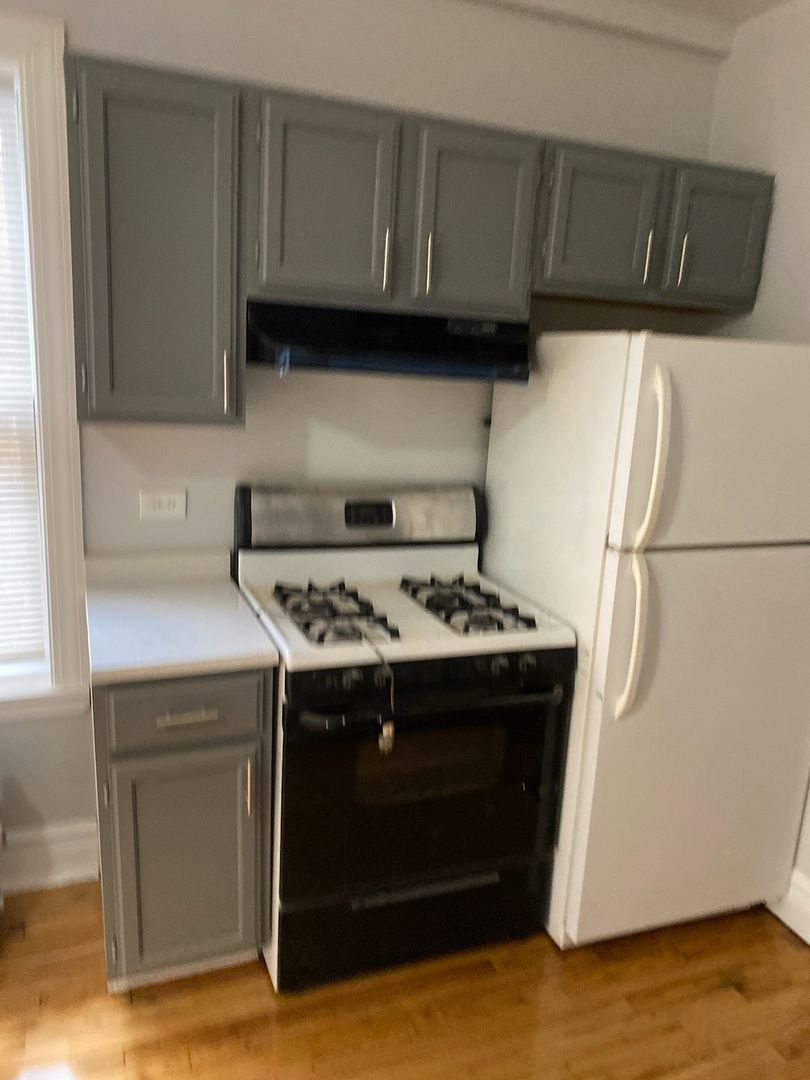 Chicago Apartment: 9848 S Walden Pkwy