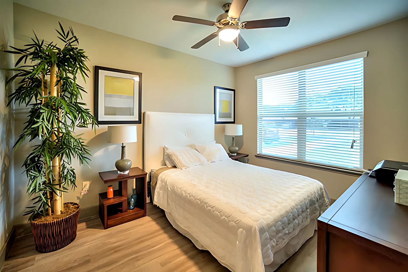 Houston Apartment: 1920 Hollister St