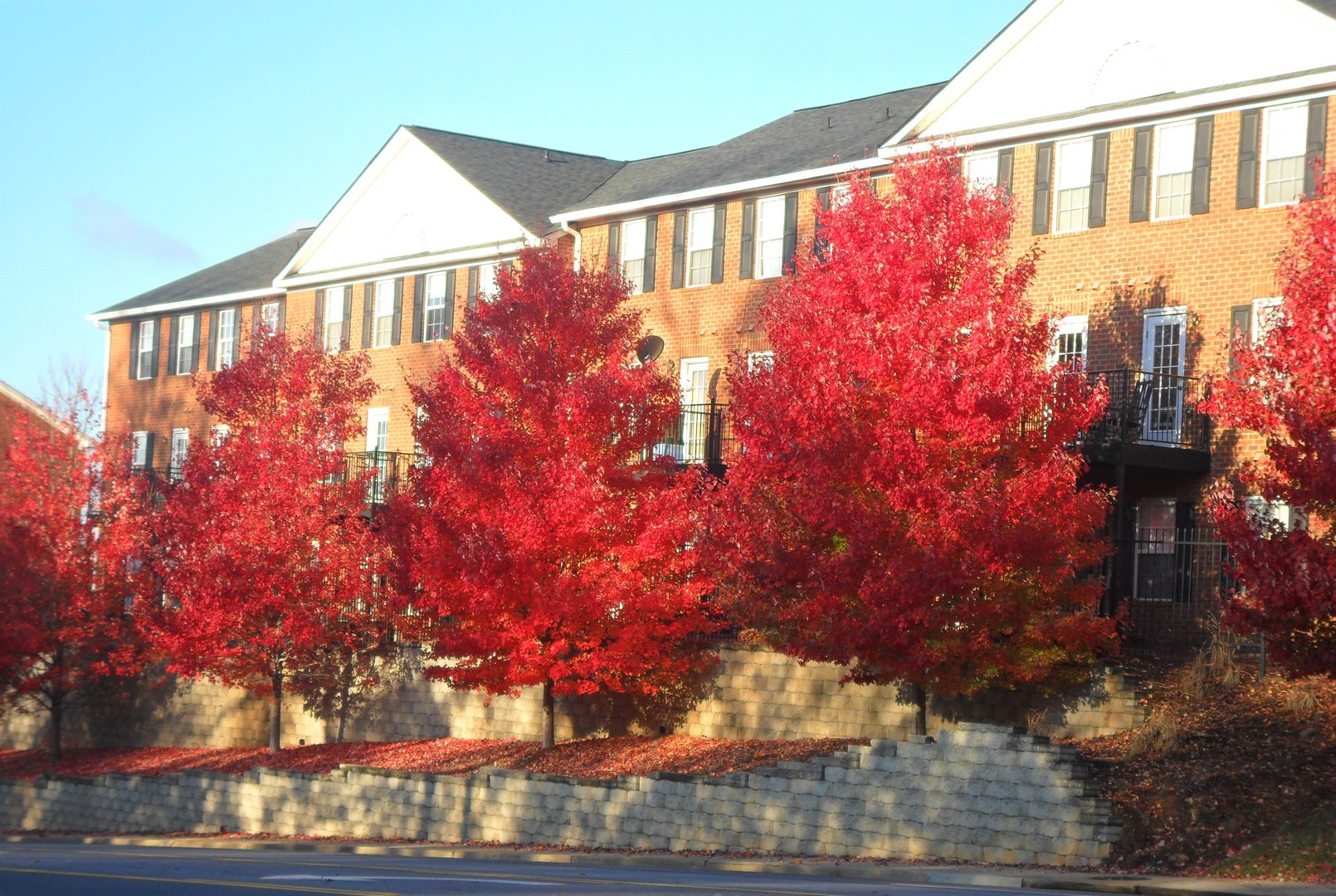 Athens Apartment: 145 North Ave.