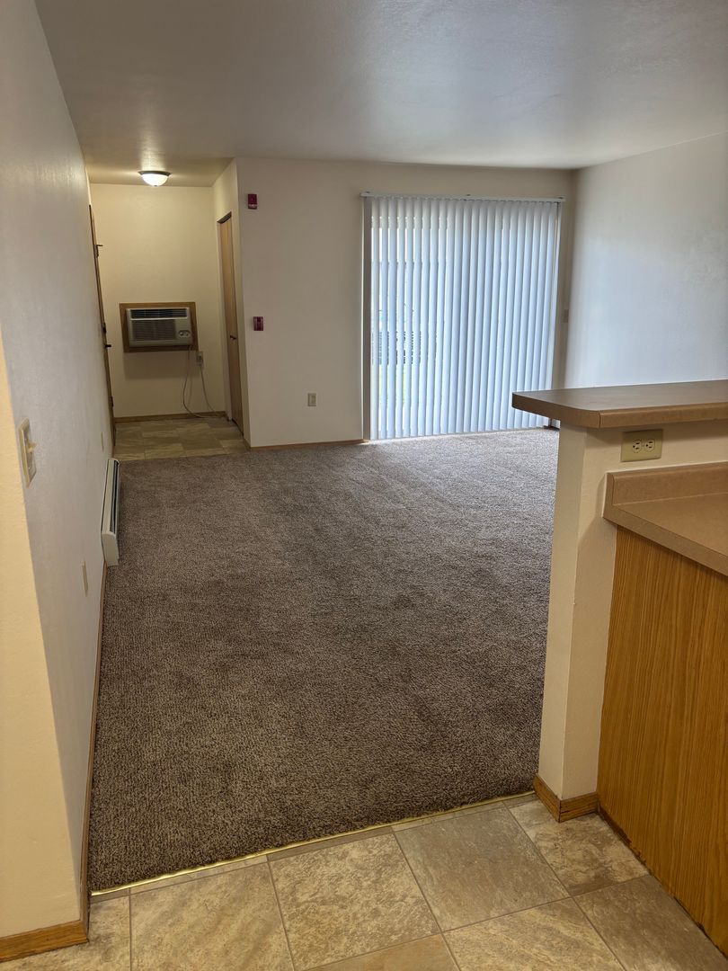 Lake Mills Apartment: 215 Tamarack Drive