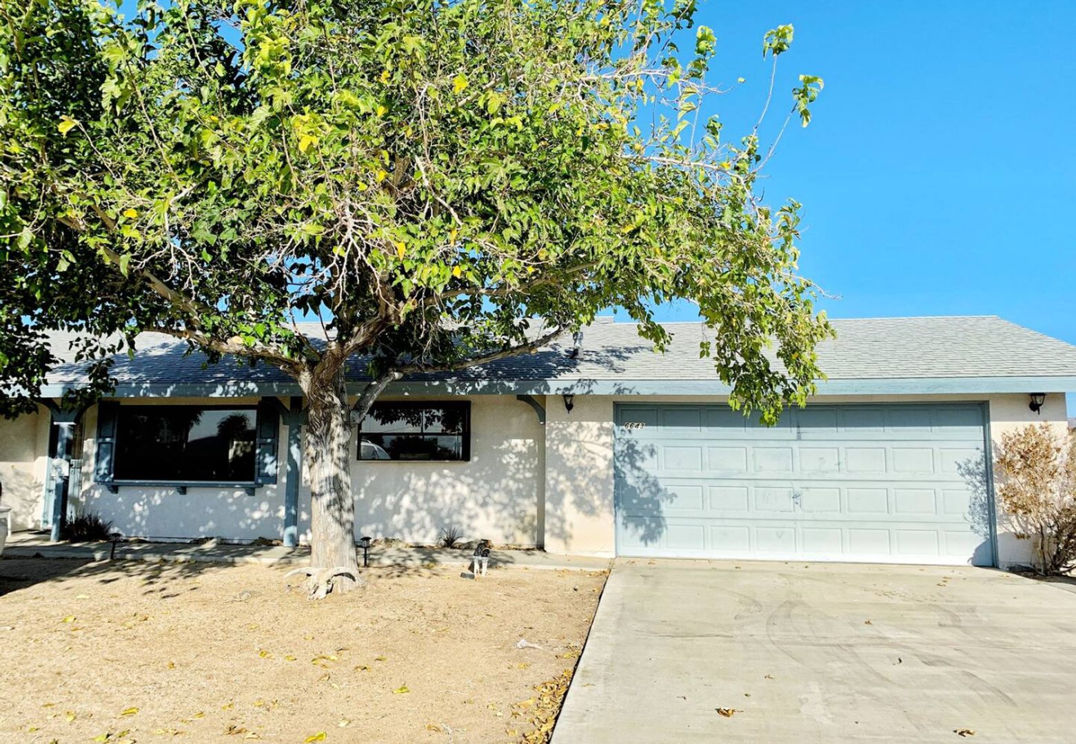 Twentynine Palms House: 6643 Indian Cove Rd #1