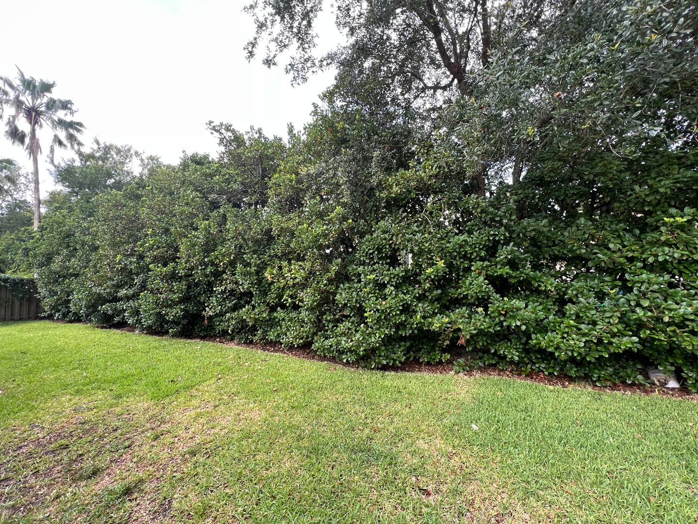 1449 Blue Heron - THE SANCTUARY U2A - Tenant Placement 3 of 12