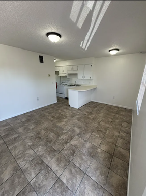 1109 E Orange Street #K – photo 1