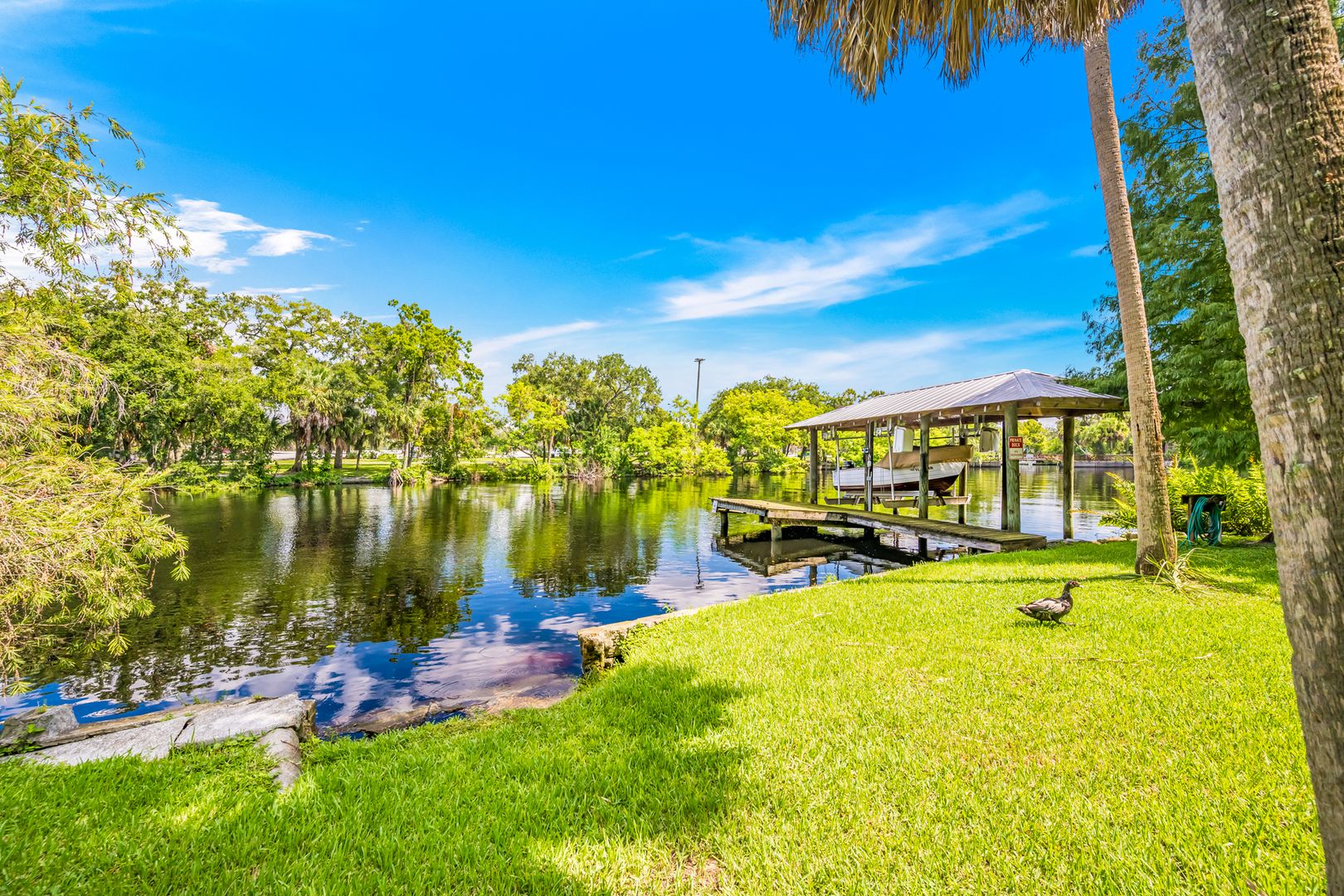 Tampa Apartment: 708 E Hollywood St