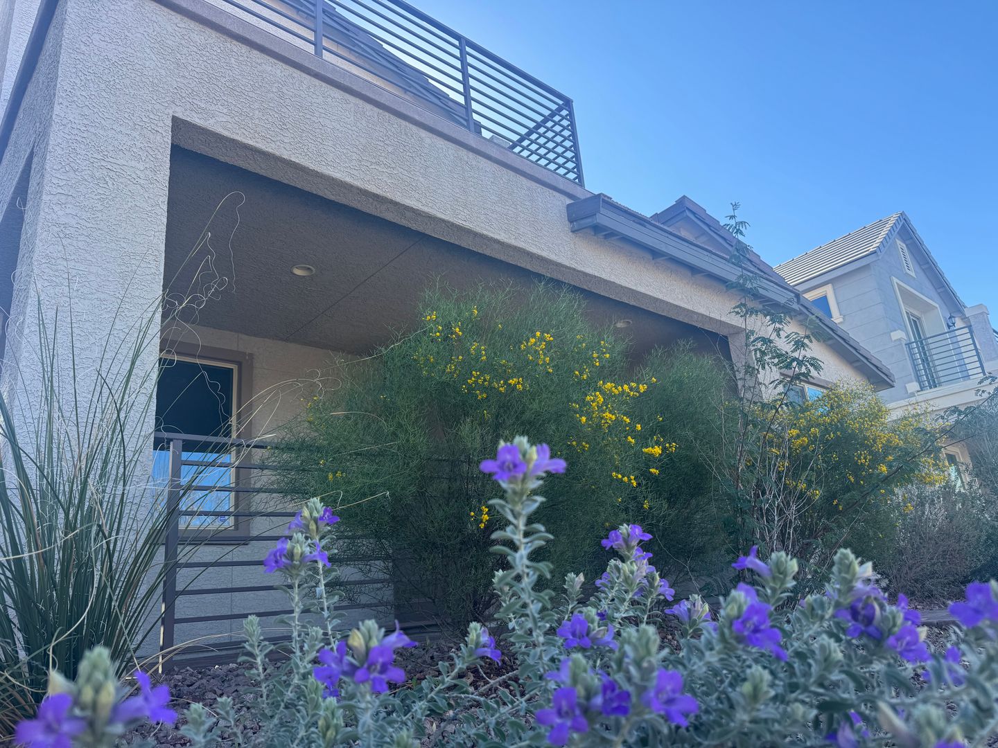 Henderson House: 1051 East Sunset