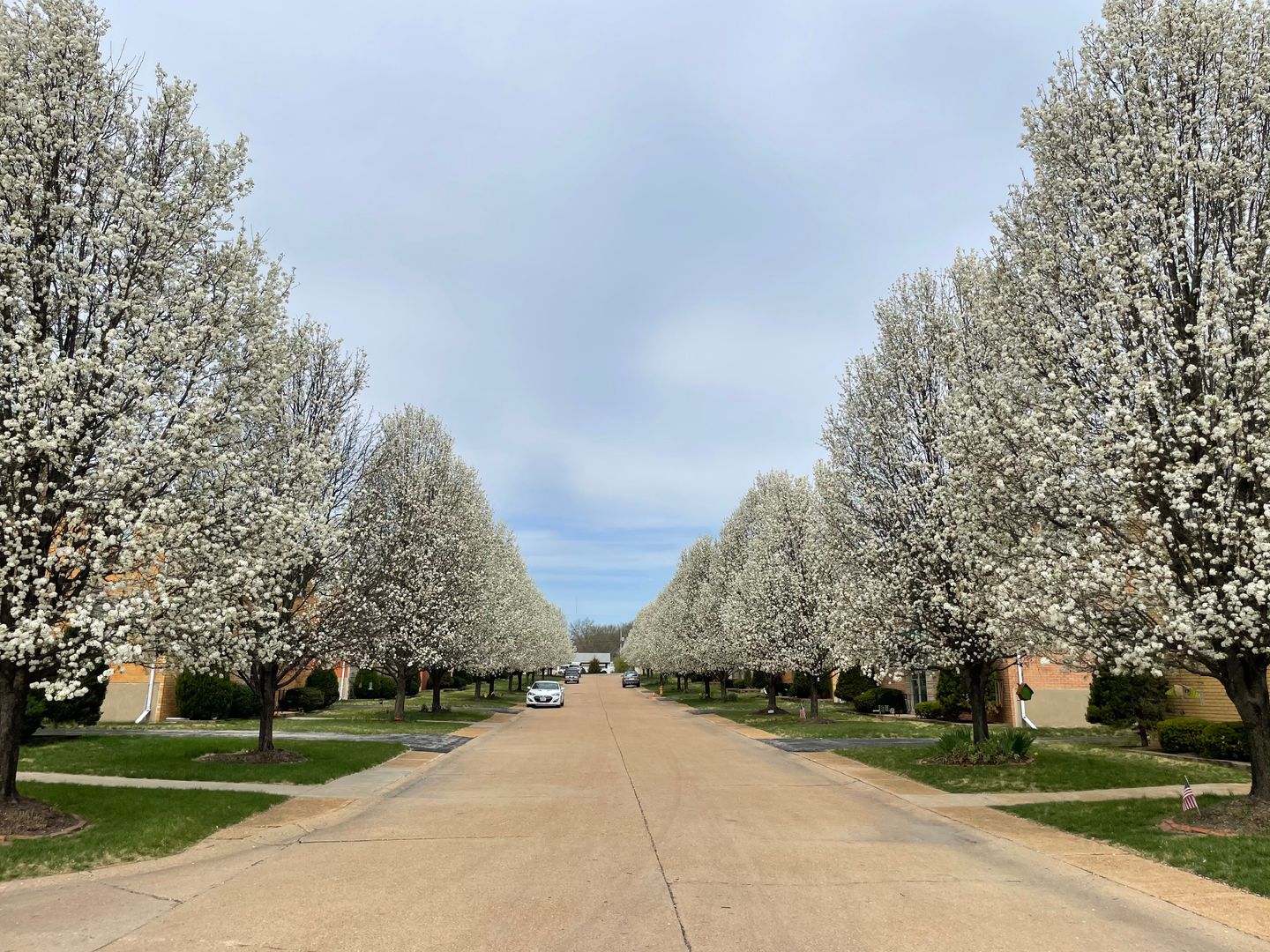 St. Louis Apartment: 4205-4261 Fatima Drive