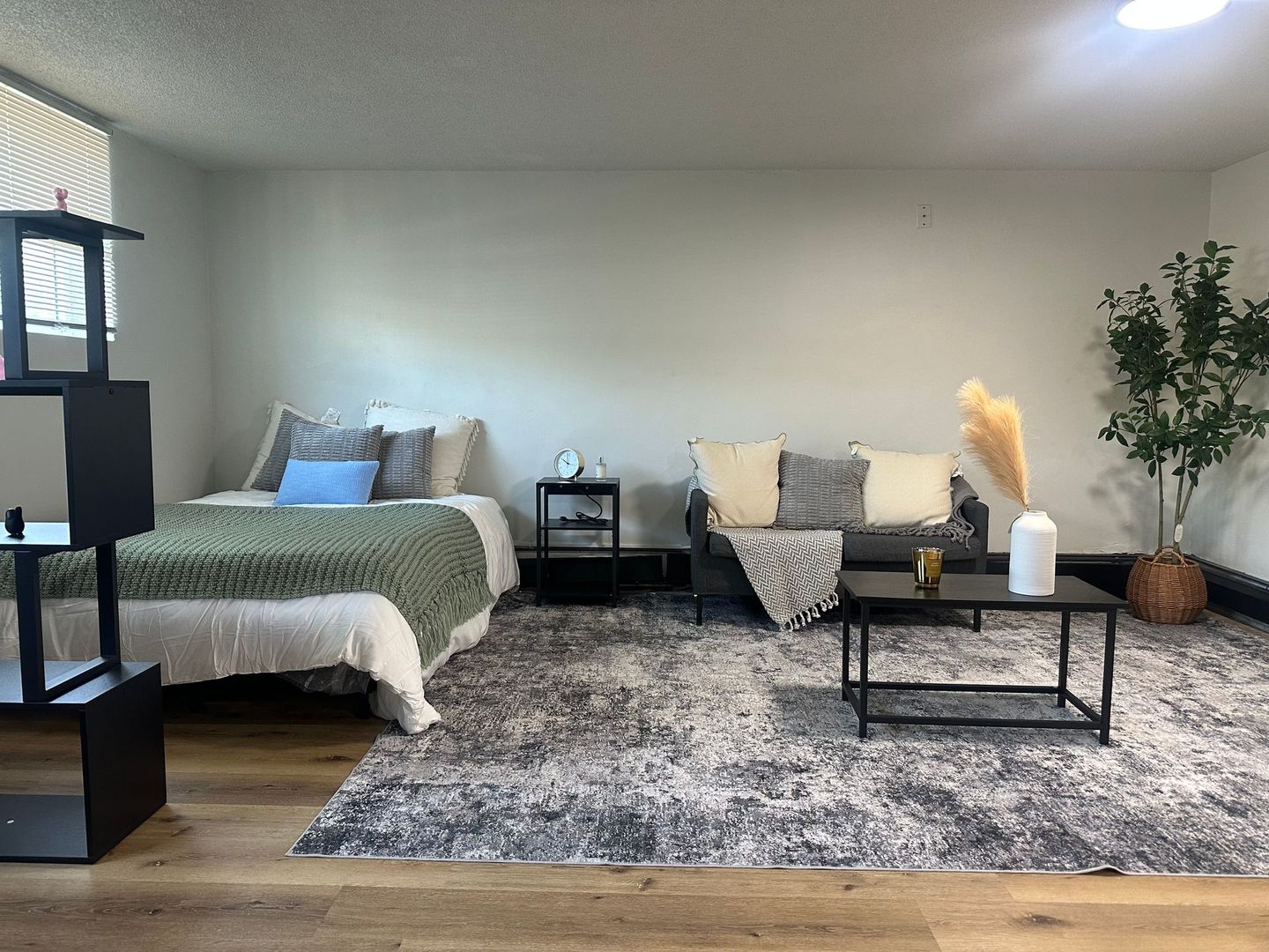 St. Paul Apartment: 262 Birmingham St.