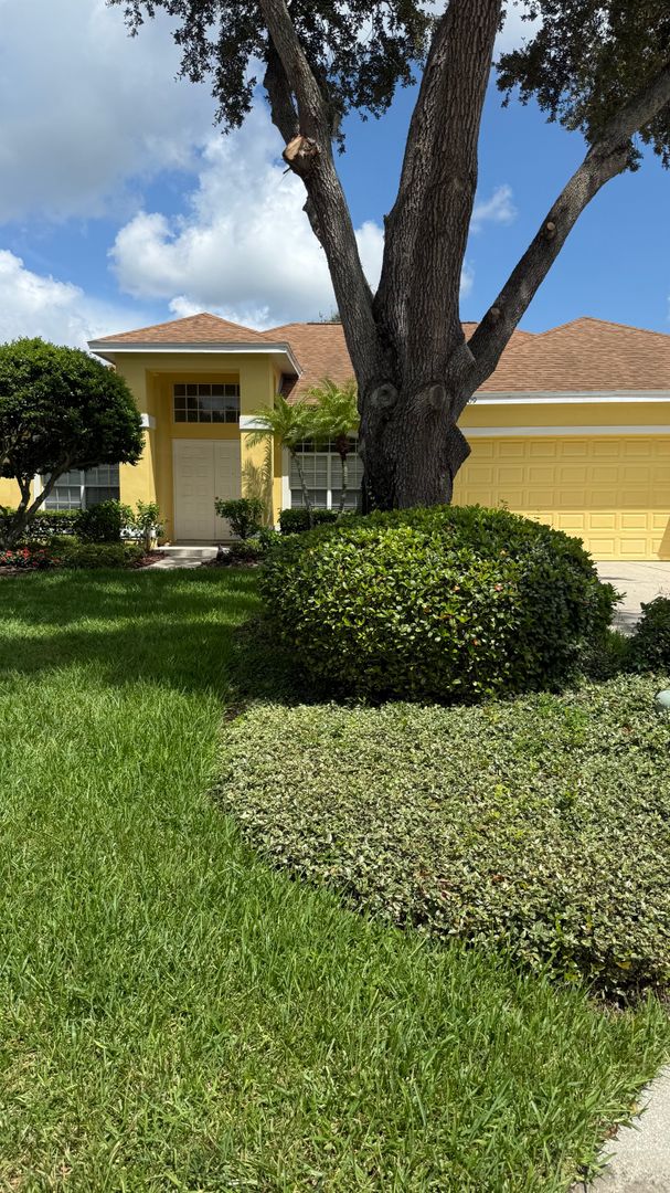 Safety Harbor House: 2209 Ramsgate Ct