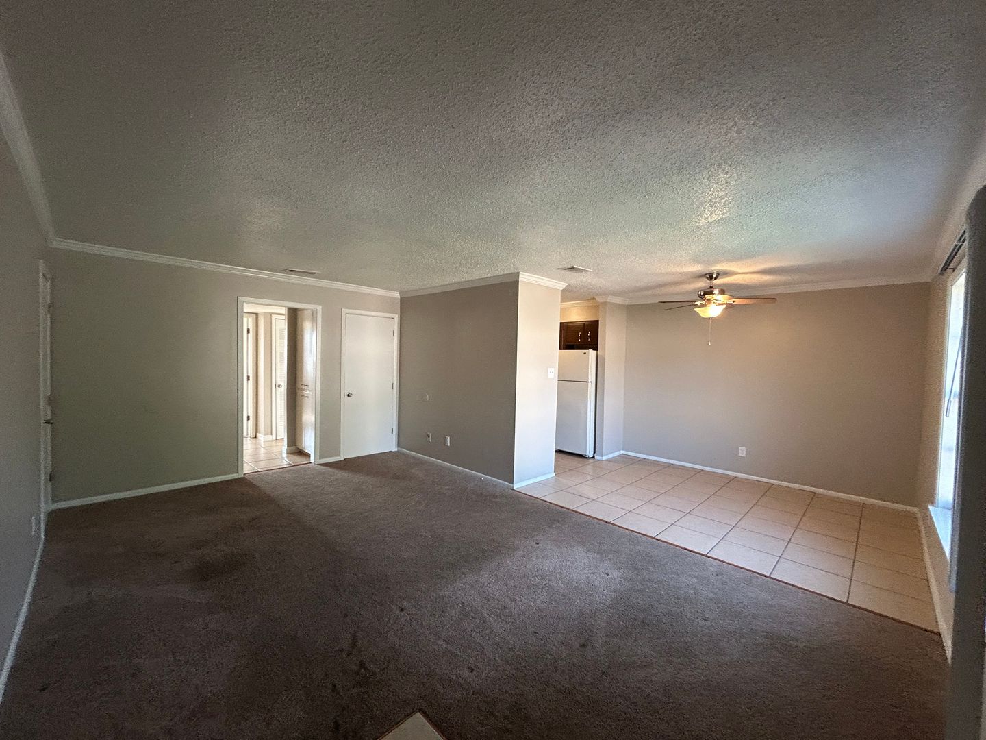 Greenville Apartment: 250 Cypress Lane