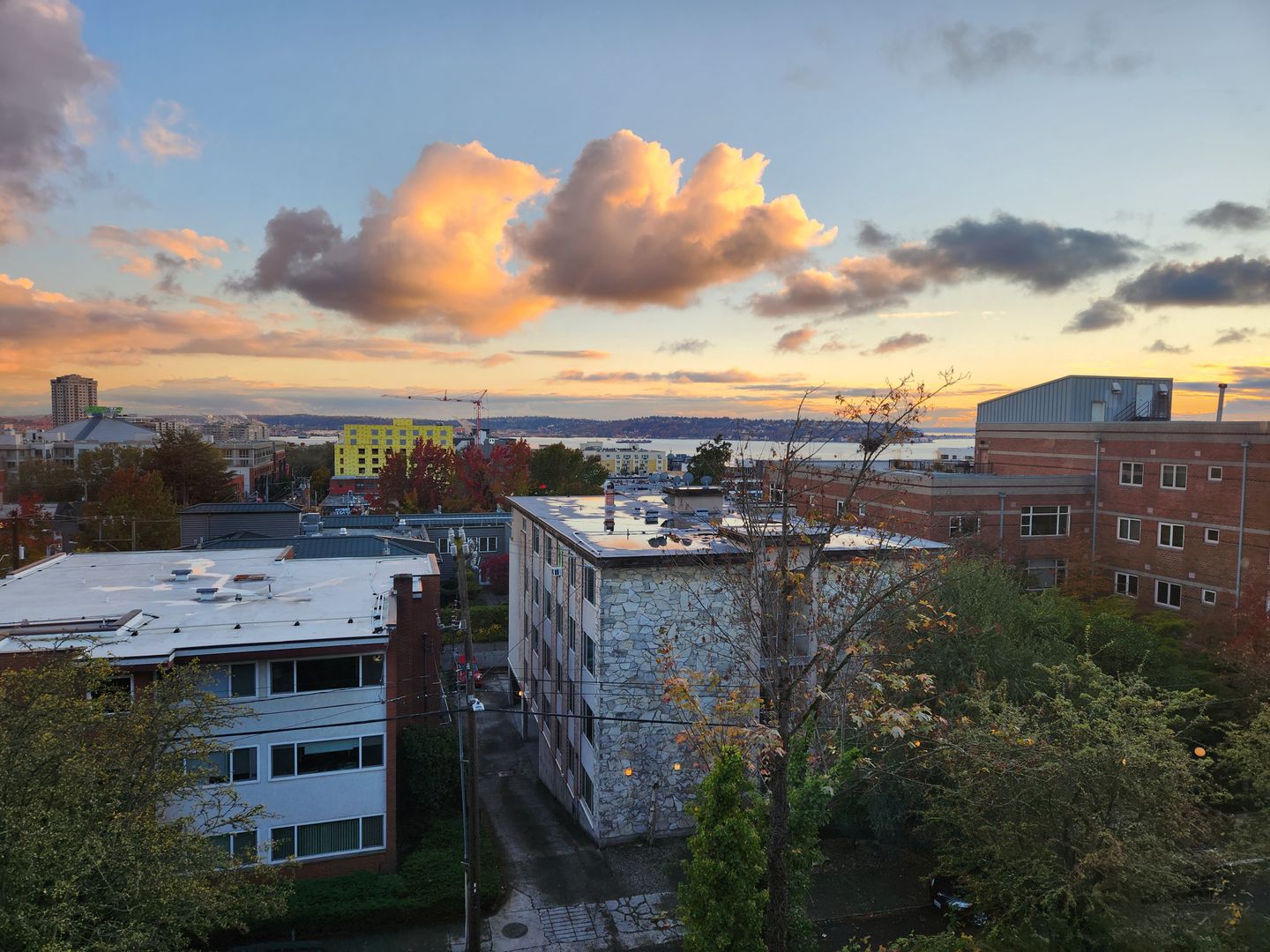 Seattle Apartment: 16 Valley Street