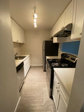 Newly renovated 1 bedroom/1bath apartment homes in quaint retreat-like setting – photo 1
