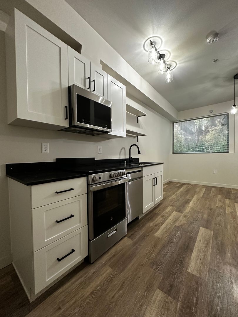 Seattle Apartment: 215 1st Ave N