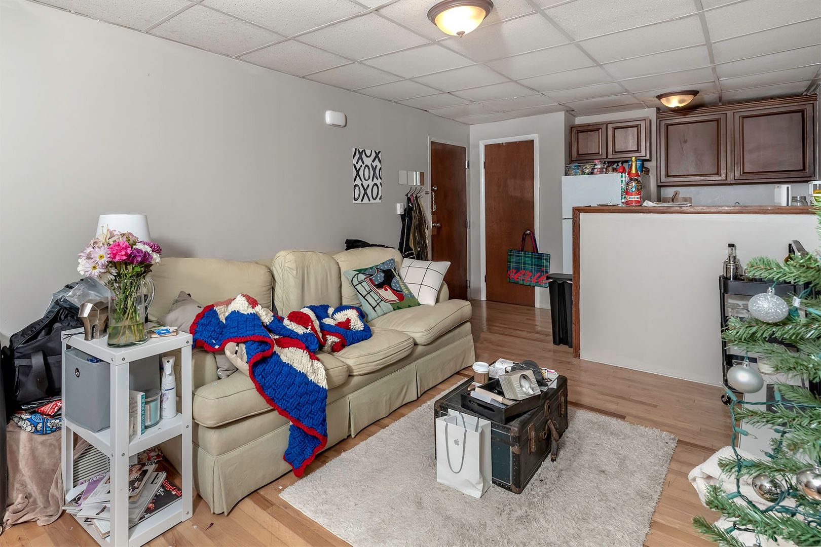 Pittsburgh Apartment: 1324 E Carson Street