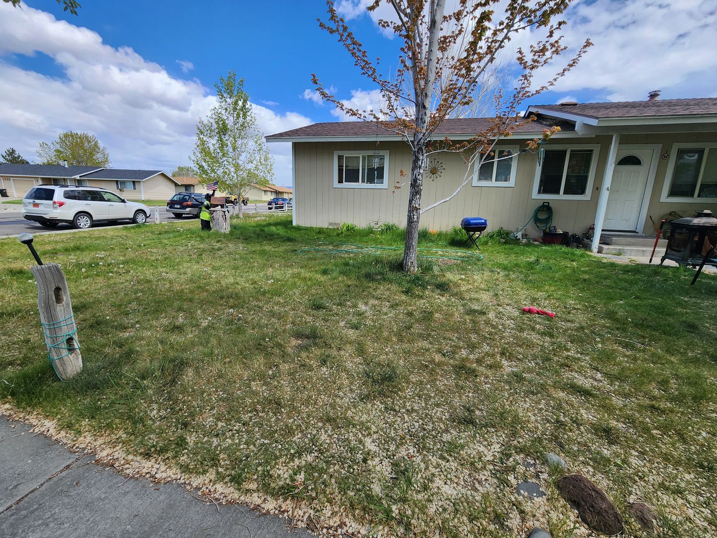 Gardnerville Multiplex: 1319 Langley