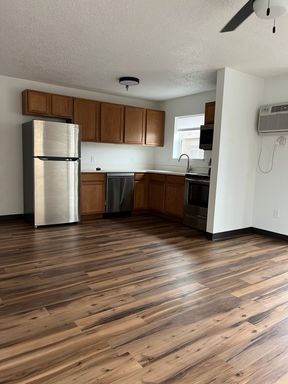 Renovated 1/bed 1/bath in downtown Duluth! – photo 1