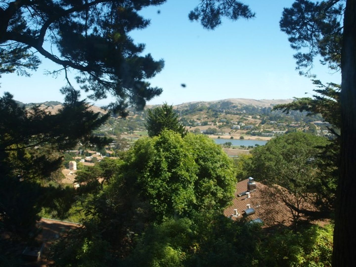 Mill Valley House: 87 California Avenue