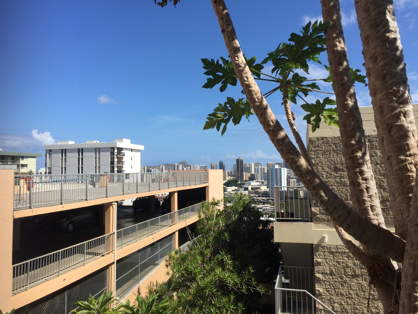 Honolulu Condo: 1025 Maunaihi Place #102