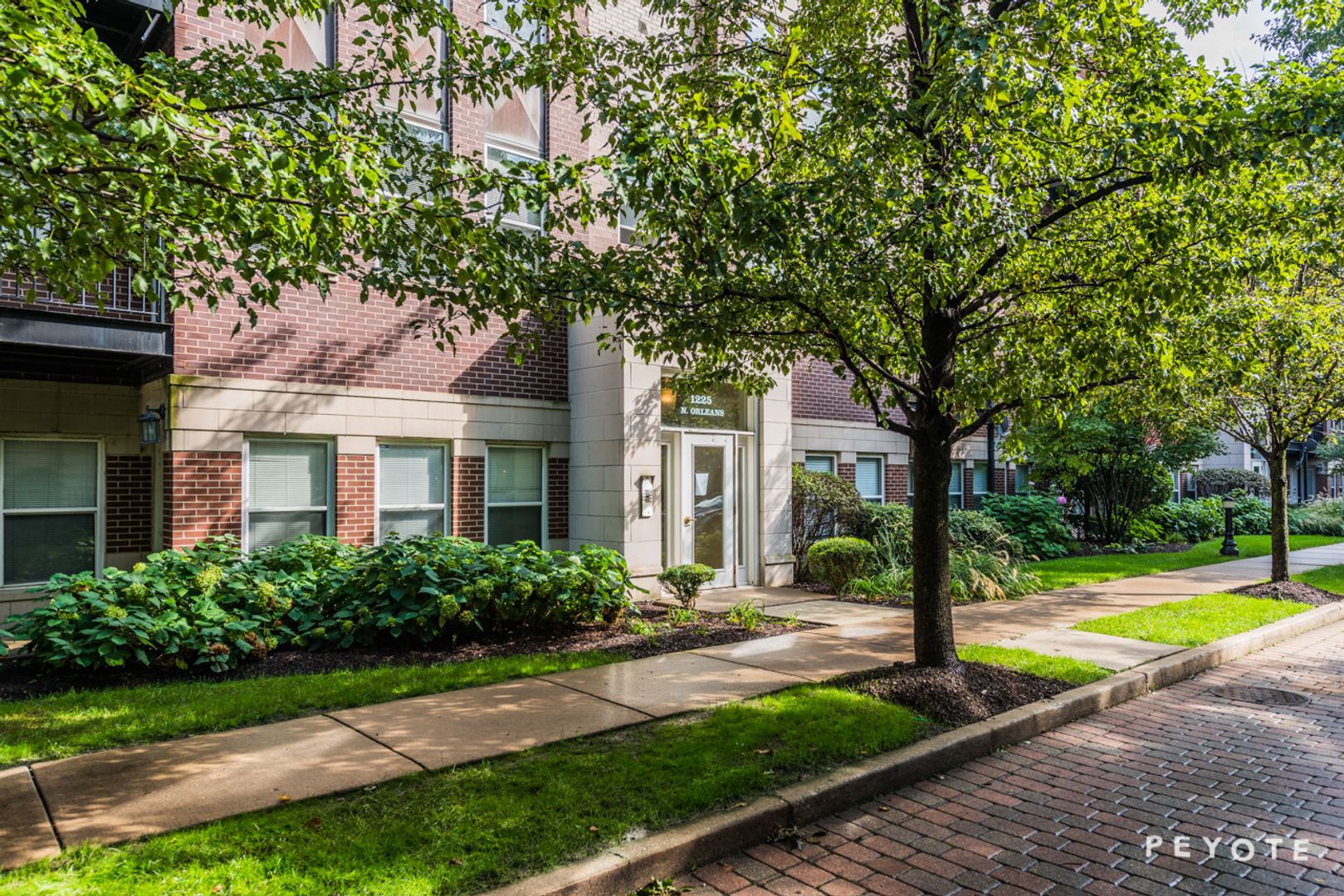Chicago Apartment: 1225 N Orleans