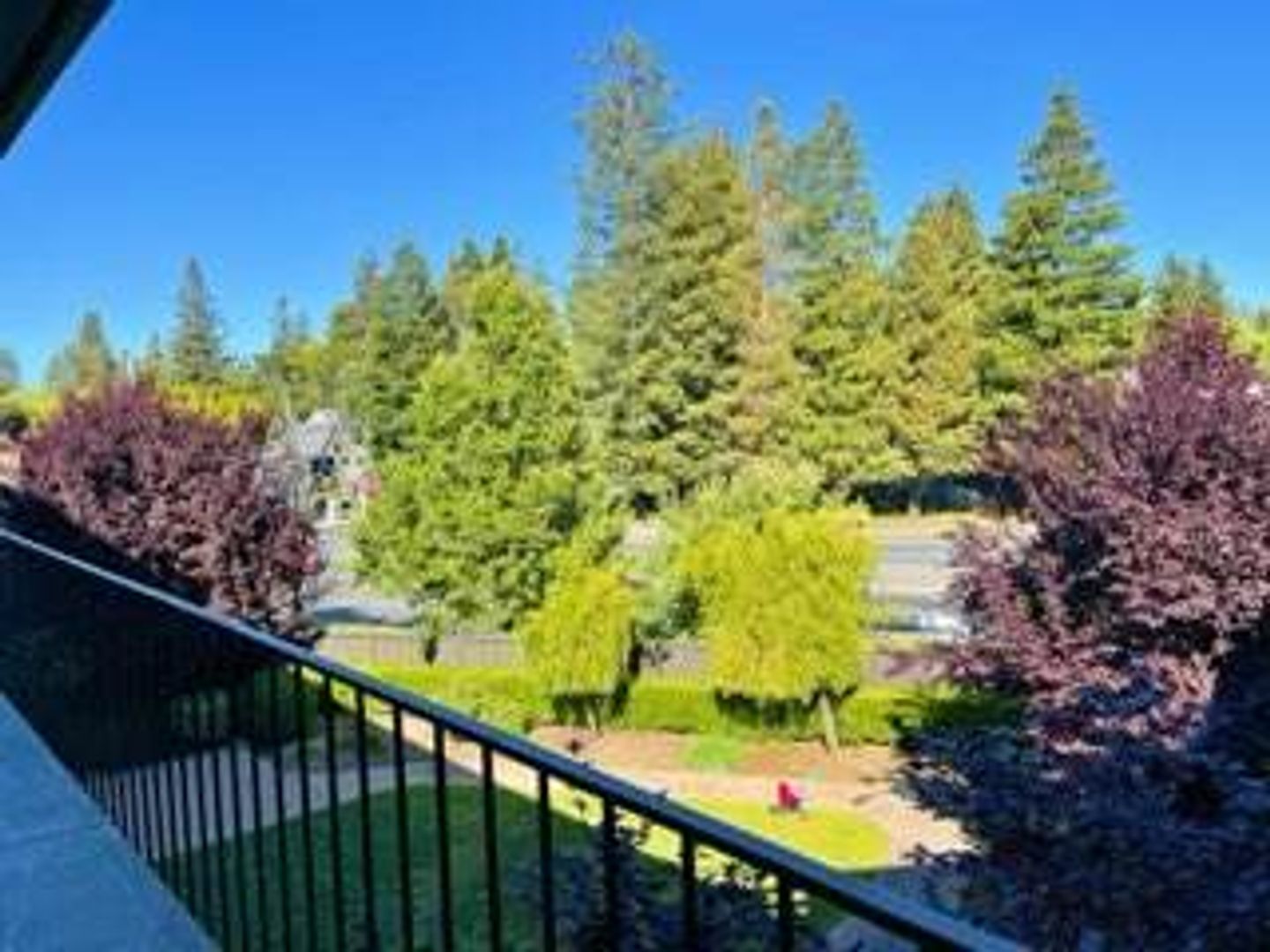 Redwood City Apartment: 1008 Woodside