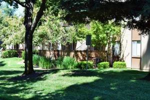 Renovated 2 bedroom – photo 1