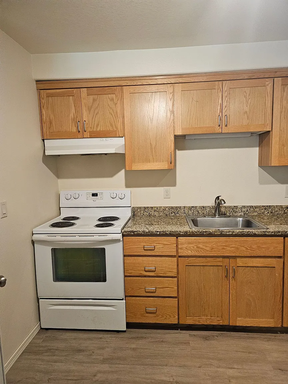 Comfortable 2 Bedroom Ground Floor Apartment | LVP Flooring | Baseboard Heating | Laundry In Unit | Pet Friendly | 1 Designated Parking Spot – photo 1