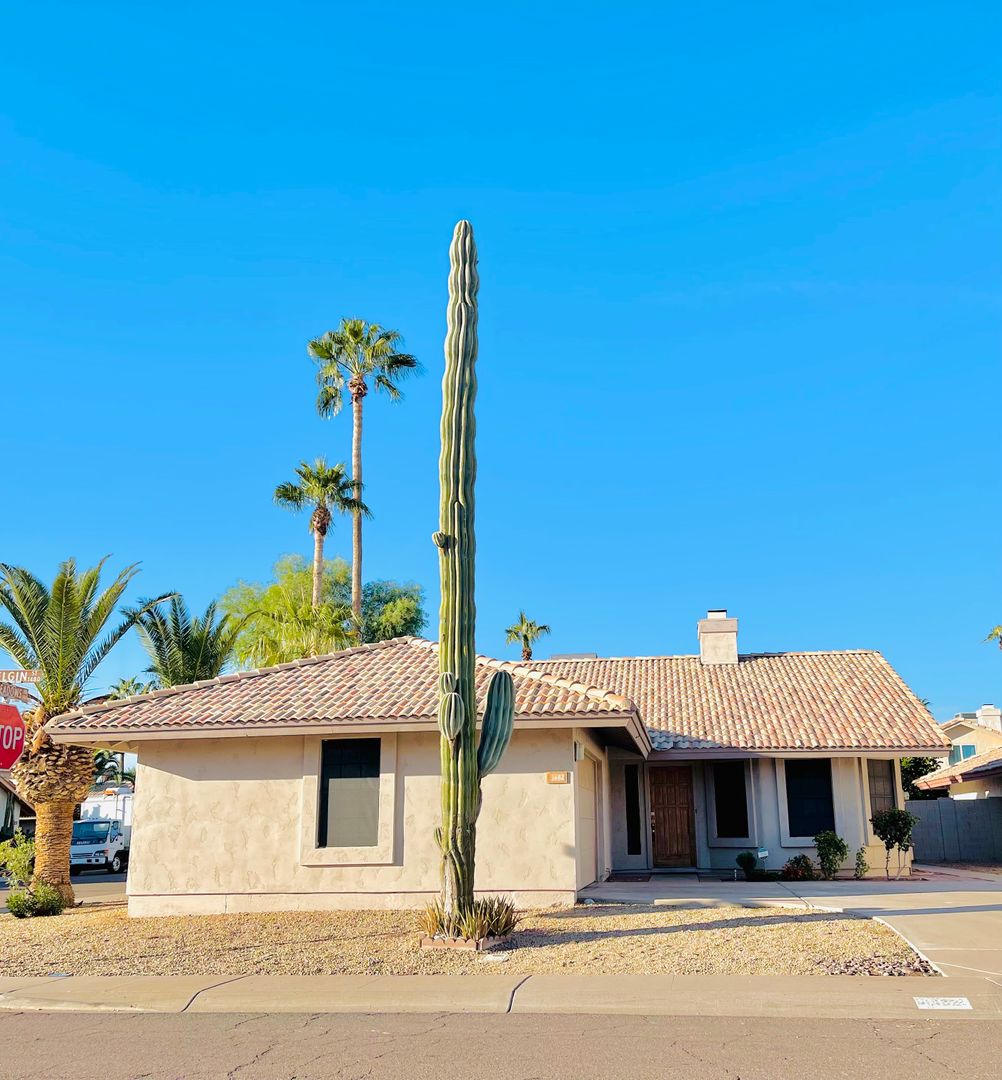 Chandler House: 1482 W Elgin St