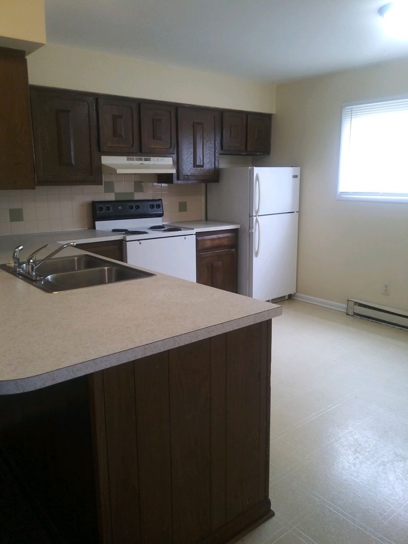 Rockford Apartment: 604 St Louis Ave