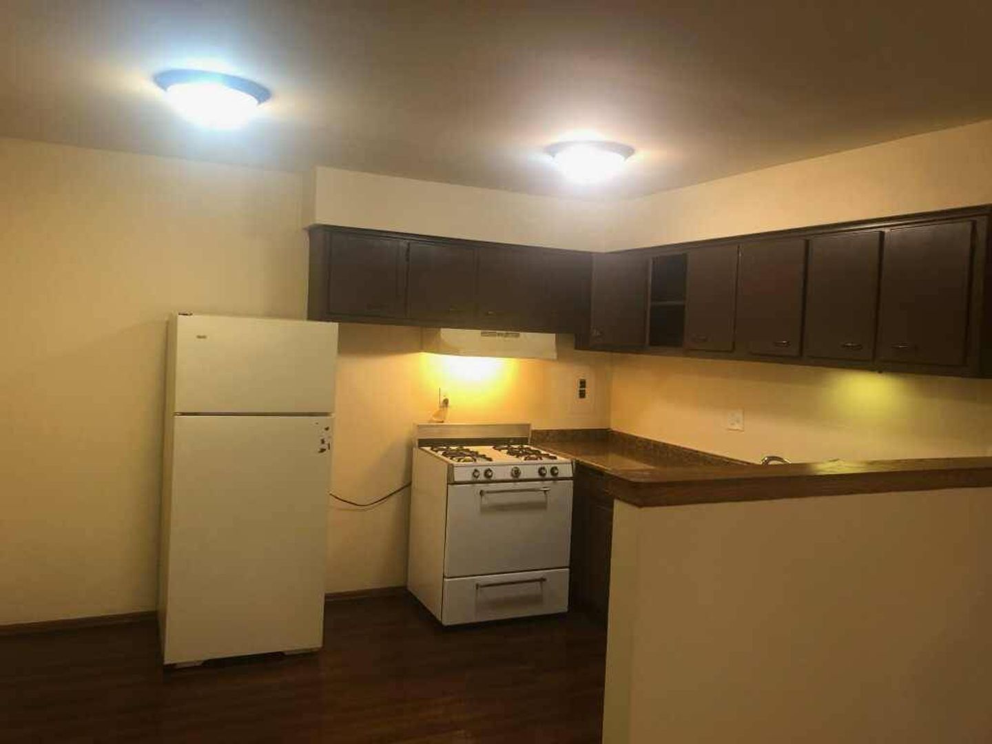 Rockford Apartment: 1020 N Main St