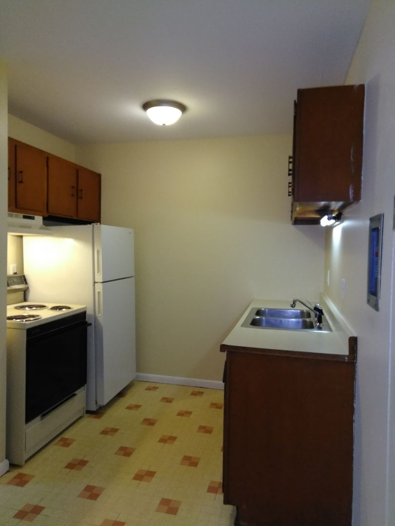 Rockford Apartment: 829 N Court St