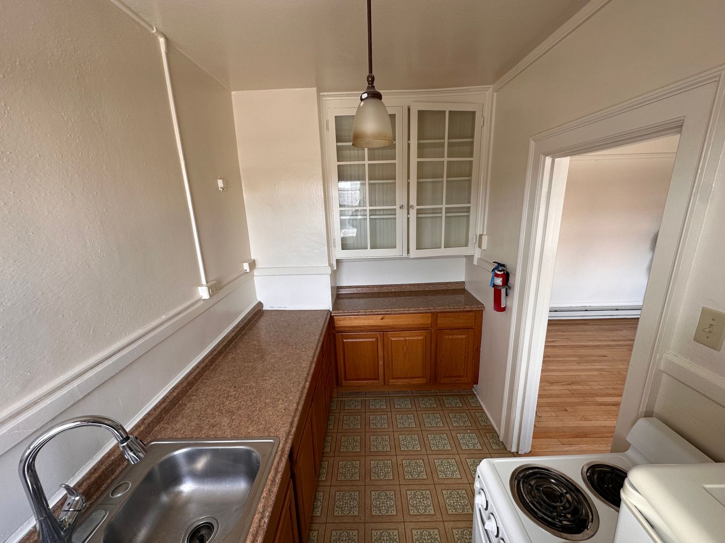 Livingston Apartment: 219 W. Callender Street