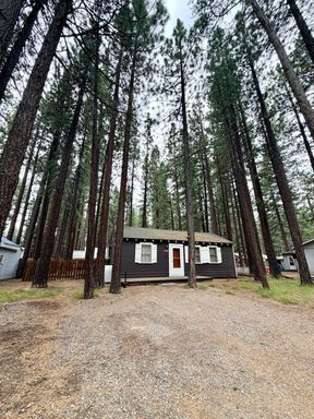 Cozy 2 Bedroom Dog Friendly Cabin with Fully Fenced Yard in South Lake Tahoe – photo 1