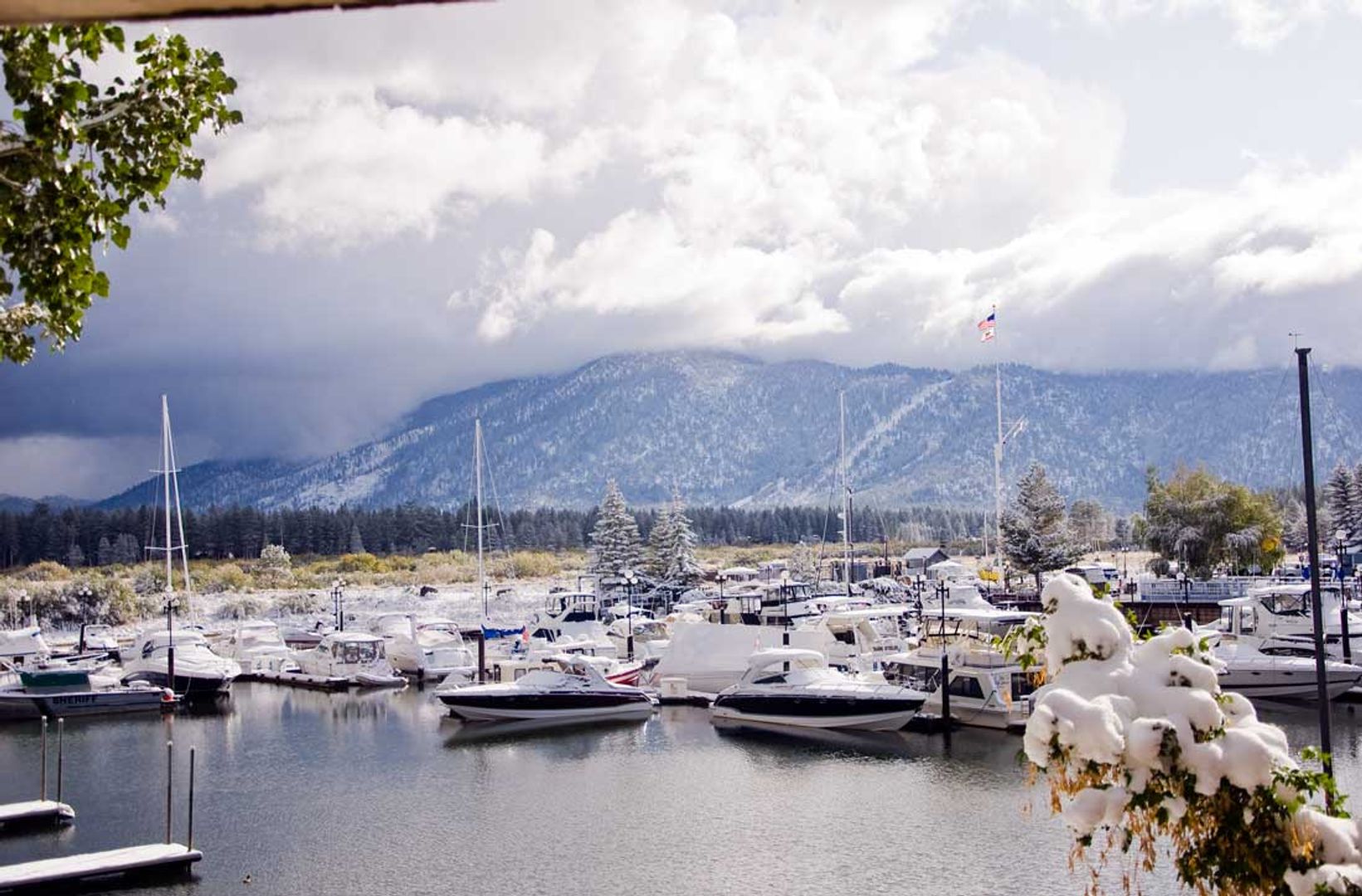 South Lake Tahoe House: 439 Ala Wai Blvd.  #103