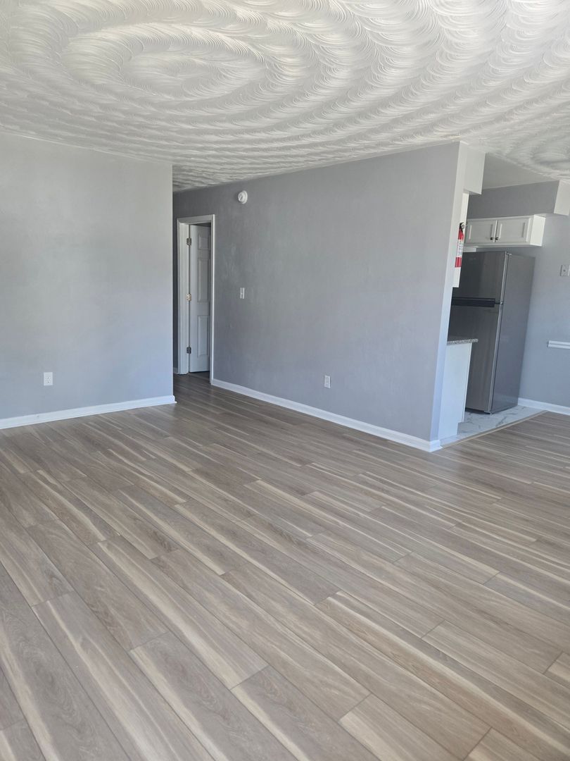 Norfolk Apartment: 1009 Hannah St