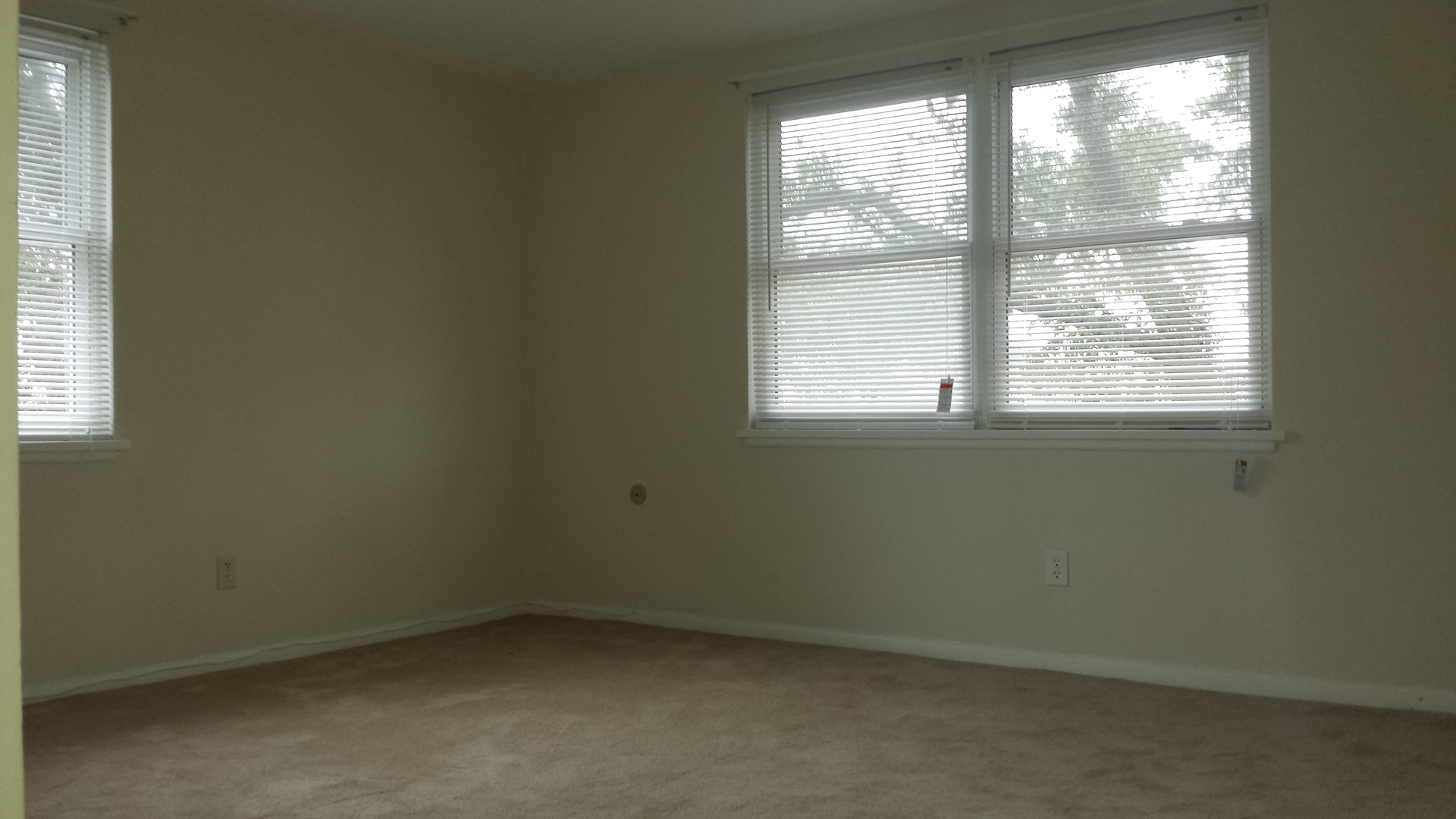 Norfolk Apartment: 9619 Warwick Ave