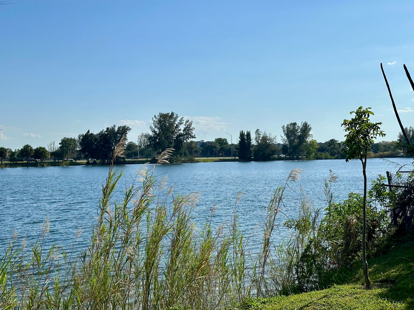 Deerfield Beach Apartment: 960 Crystal Lake